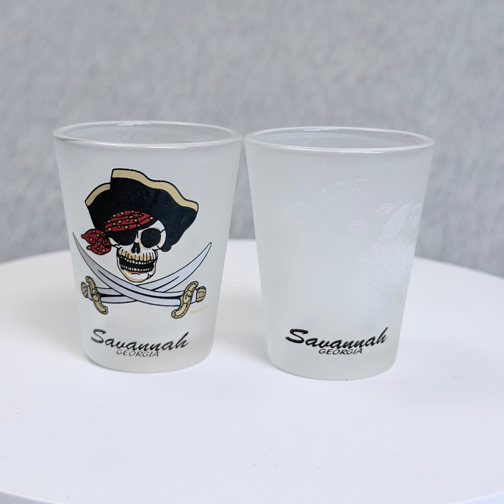 Savannah Georgia Frosted Shot Glass Set Pirate Skull and Sea Turtle 2 Piece